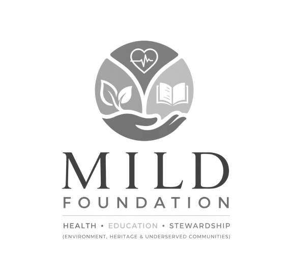 The MILD Foundation